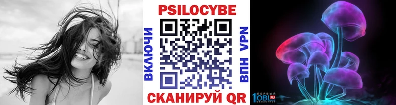 Купить закладки  Козловка  Псилоцибиновые грибы Psilocybe 